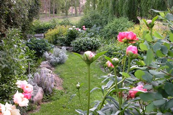 Summer blossom