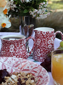 Beautiful Burleigh China for Bed and Breakfast Guests