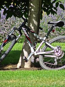 Guest Mountain Bikes free to use