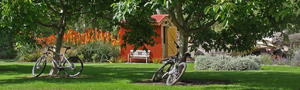 Guest laundry and guest mountain bikes