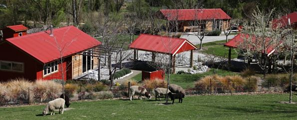 Cottages and pet sheep