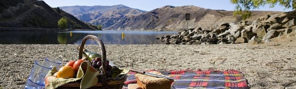 Picnic by Lake Dunstan