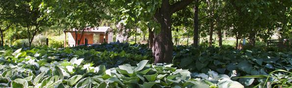 Summer house in the hosta gardens