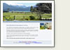 Central Otago Motorcycle Hire